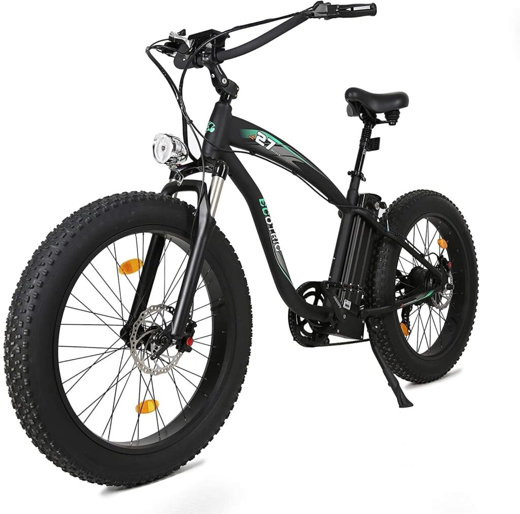 ECOTRIC 20 Fat Tire Electric Bike